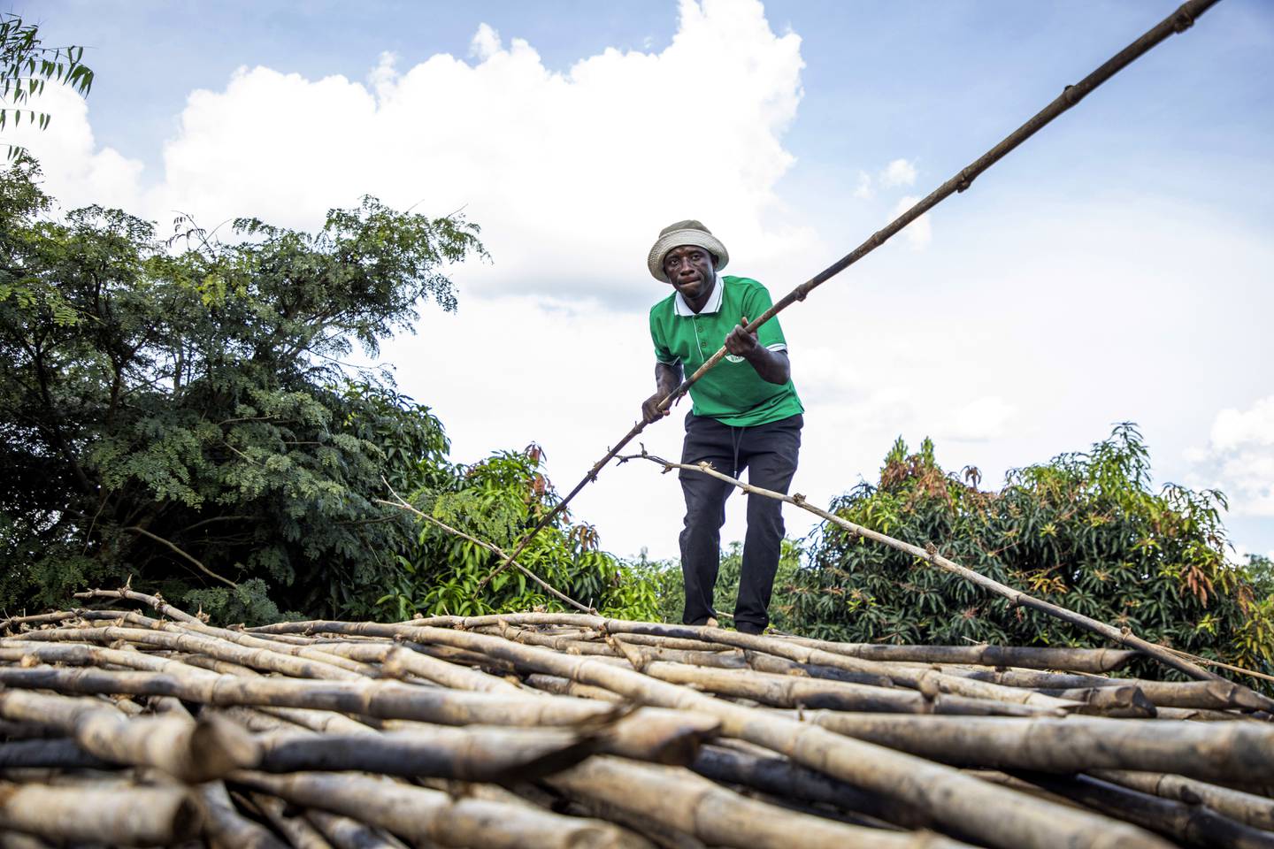 Joseph Katumba, a caretaker at Kitara Farm, works near Mbarara, Uganda, on March 8, 2024.  Katumba said the property has become something of a demonstration farm for people who want to learn more about bamboo.