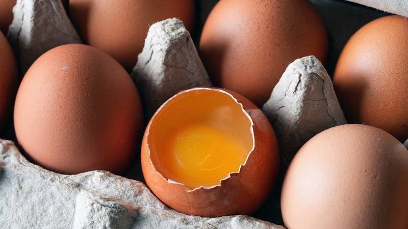 The eggs from chickens fed orange corn tend to have dark orange yolks. This high color pigmentation comes from an increased amount of carotenoids that get transferred to the eggs from the chickens’ diets.