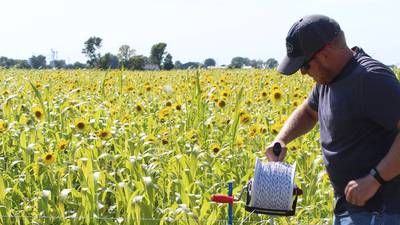 From the Fields: ‘Rain has not been a factor’