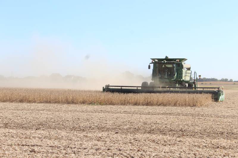 Berkeley Boehne harvests his last field of soybeans on Oct. 10. Although the beans are dry at 11% moisture, he has been pleasantly surprised with yields that are above average for his north-central Illinois farm.