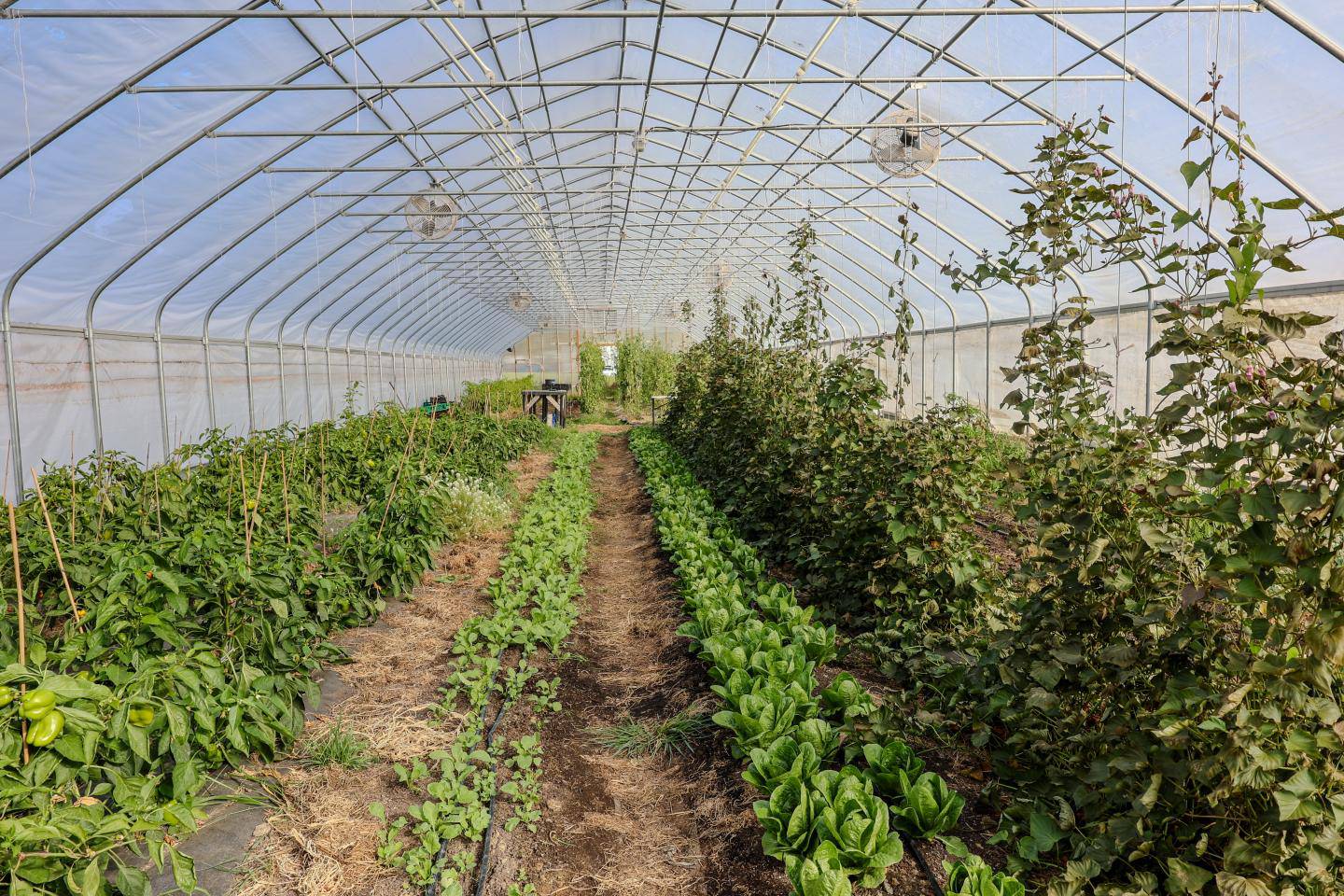 It Takes A Village is a three-acre community farm led in partnership with Grace United Church of Christ. The farm is located in Sauk Village, a south suburb of Chicago.