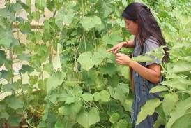 Apprenticeship sparks career for first-generation farmer