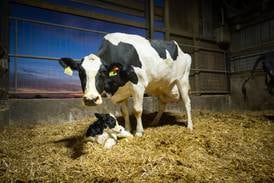 Turn herd data into action with connected systems