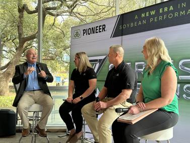 A to Z: Pioneer details new soybeans