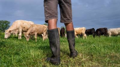 Where’s the beef: Argentina or America?