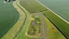 Smart wetland featured at field day