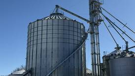 Lafayette farmer enjoys efficiency of new grain system