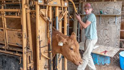 Get better drenching results with these application tips