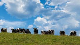 Dairy farmers struggle as milk prices fall and costs climb