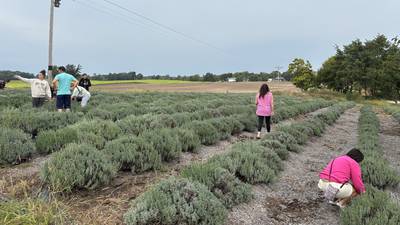 Veterans learn about farming through Indiana AgVets