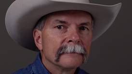 Why are cattle supplies so tight?