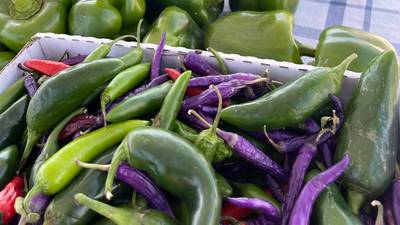 Franklin named Ultimate Farmers Market