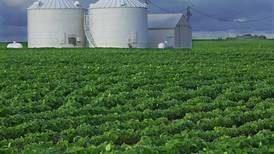 Crop stocks data at marketing year halftime