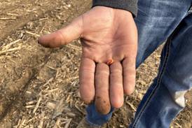 The AgriNews AgriMinute podcast: How tillage shapes nutrient availability