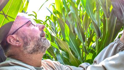 Key takeaways from 2025 growing season