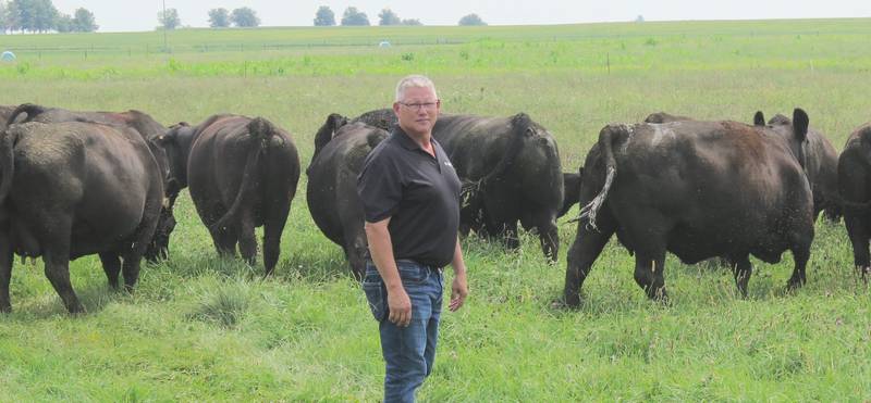 Doug Hanson leads his cattle into one of 16 paddocks across 80 acres. Hanson, his wife, Lisa, and their daughters, Maddie and Isabella, own and operate Hanson Land and Cattle in Danforth, about 80 miles south of Chicago. Hanson, a former high school ag teacher, is also a seed specialist at ProHarvest Seeds.