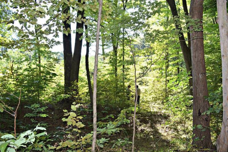 Members of the Hardwood Federation sent a letter, signed by 452 mills, manufacturers, loggers and distributors from across the country, to the Trump administration. The letter underscores the role the hardwood industry plays in supporting rural communities. These hardwood companies have been hurt by tariffs and are asking for tariff relief payments.