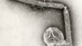 Bird flu virus likely mutated inside Louisiana patient
