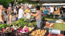 Illinois receives $14.4M to create local food system for underserved populations