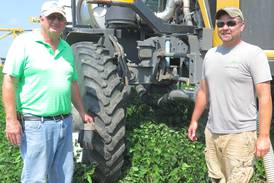 ‘The best wheat I’ve ever harvested’