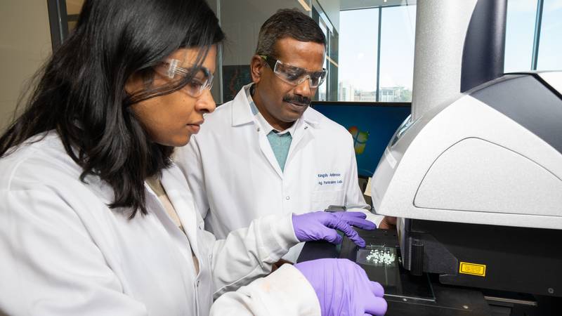 Vidya Nagaraju and Kingsly Ambrose measure the size and shape distribution of particles on a Malvern Morphologi G3-ID particle shape analyzer at the Agricultural Particulates Lab at FLEX in West Lafayette, Indiana. Ambrose began conducting particle research as a graduate student at Purdue, completing his Ph.D. in agricultural and biological engineering in 2010.