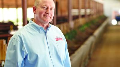 The 1,500-pound question: Are your cows too big? 