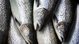 The U.N. says more aquatic animals were farmed than fished in 2022