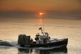 Fishers celebrate Trump’s seafood order while conservation groups fear overfishing