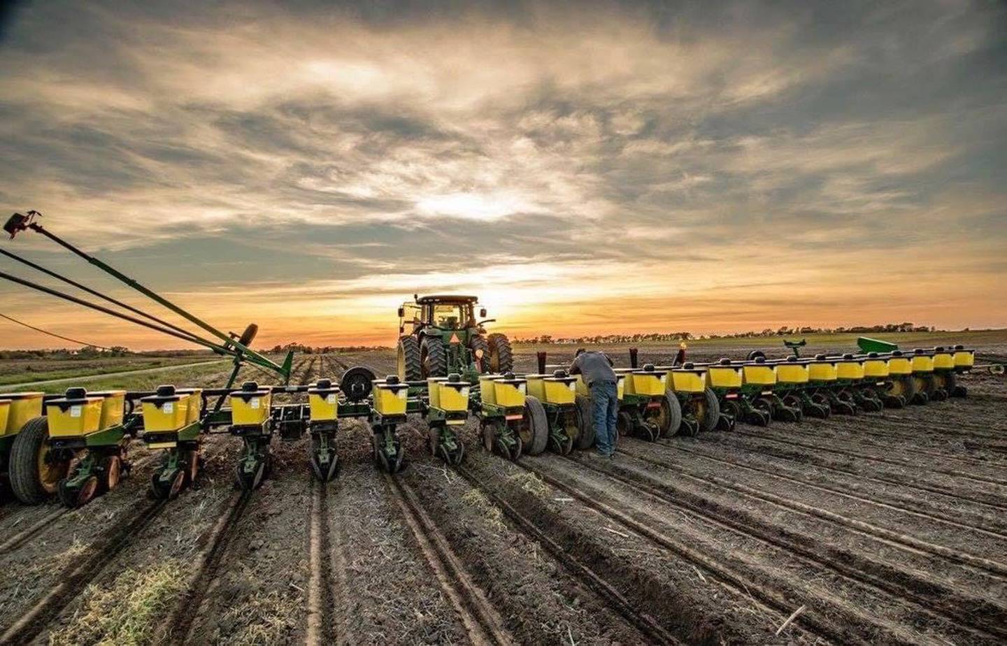 “Springtime Rows” — Tyler Paydon: “Paydon Farms.”