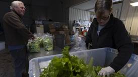 Less farmland is going for organic crops as costs and other issues take root