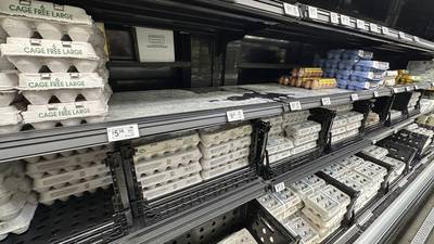 U.S. egg giant Cal-Maine says government is investigating price increases