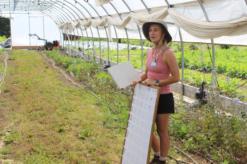 Elaina Fales talks about how she uses a task board at her flower farm to communicate with her employees. Once a task is completed, they can look at the board to identify their next task.