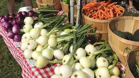 Why I love my CSA: It’s more than the weekly box of fresh produce