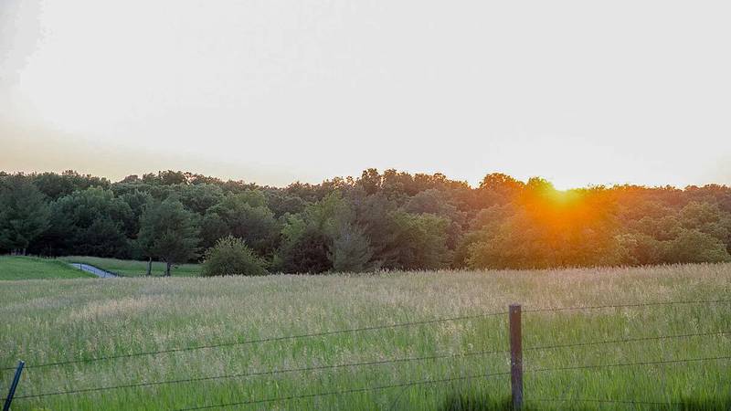 Every time a farmer puts a seed in the ground or buys a young animal to raise, they’re taking a leap of faith and just hope they can afford to keep doing what they love and what feeds us all.