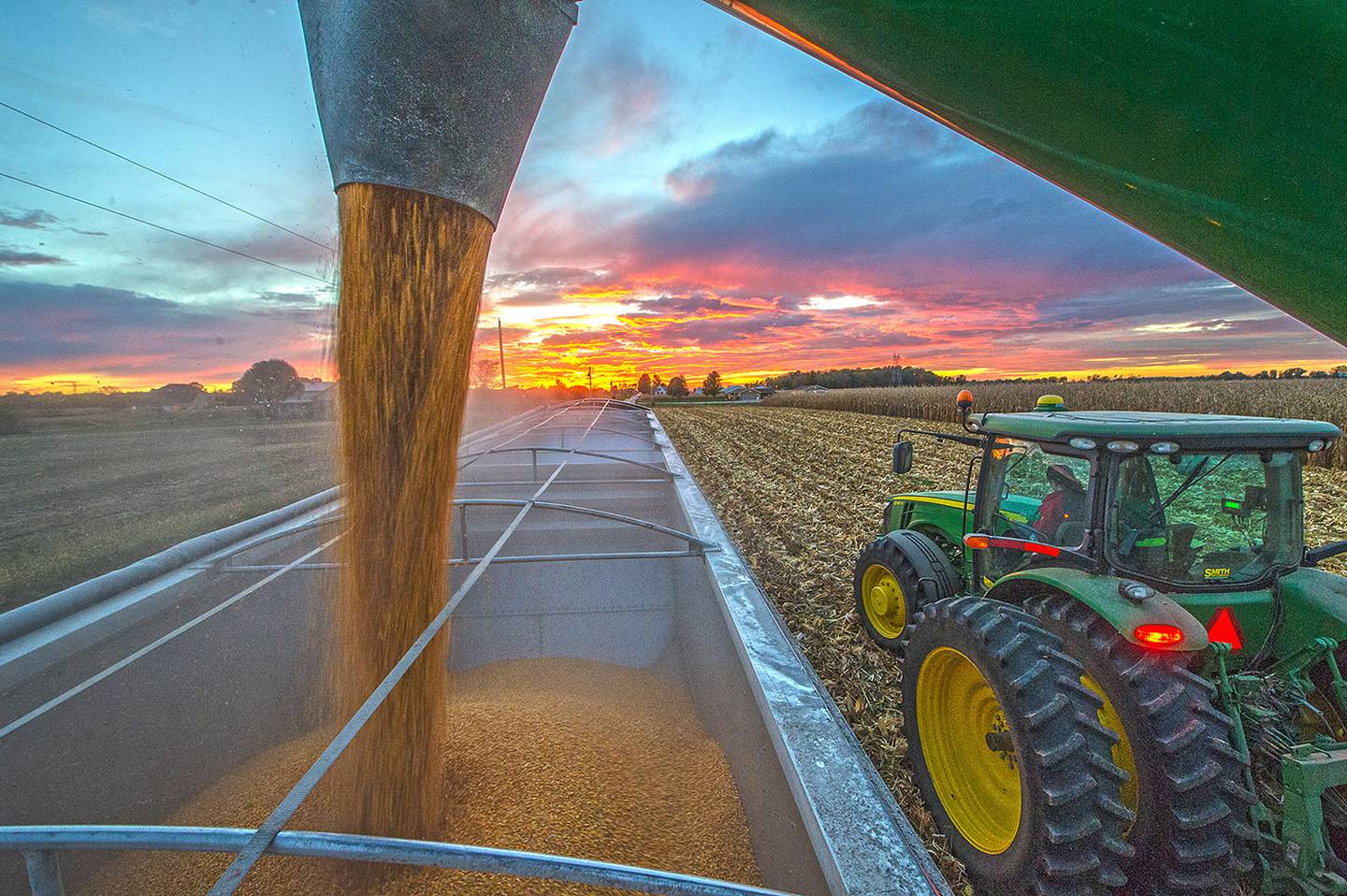 A tractor dispenses grain while harvesting corn near Greenfield, Indiana.