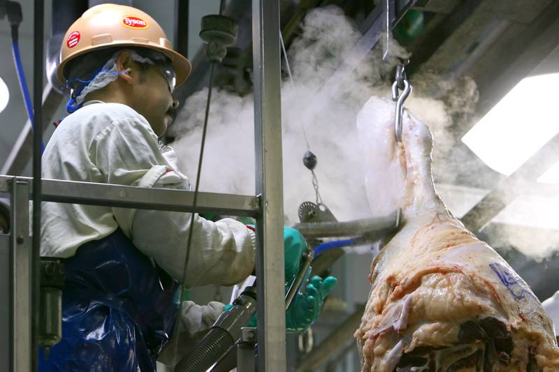 A worker on the line uses a steam vacuum on any incision areas on a carcass at the Tyson meatpacking plant in Lexington, Nebraska.