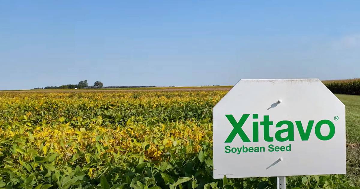 Soybean seed is catered to farms