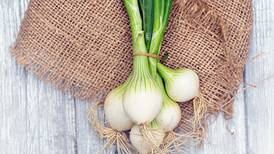 Kitchen Diva: Spring onions flavor the season