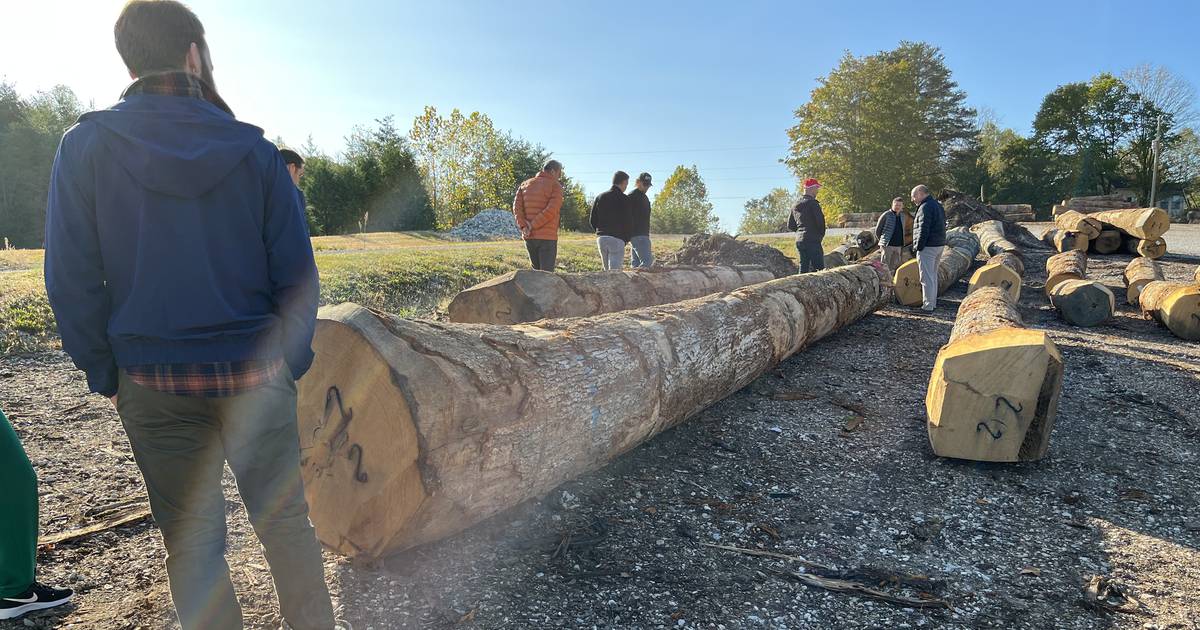 Visitors from Turkey learn about Indiana hardwood industry
