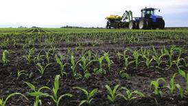 USDA releases first new crop predictions
