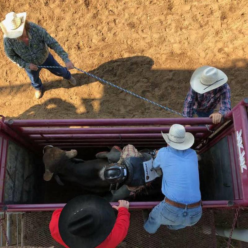 New this year, T and A Bucking Bulls with barrel racing, bronc riding and steer roping will take over the grandstand at the Carroll County Fair on Thursday, Aug. 7.