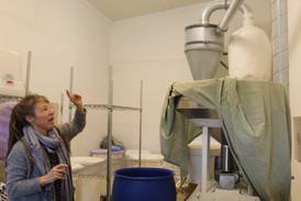 Heirloom, ancient grains grown and marketed from Hazzard Free Farm