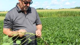 Spraying fungicides, preparing for fall harvest