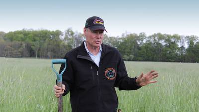 How one rainstorm changed my farm forever