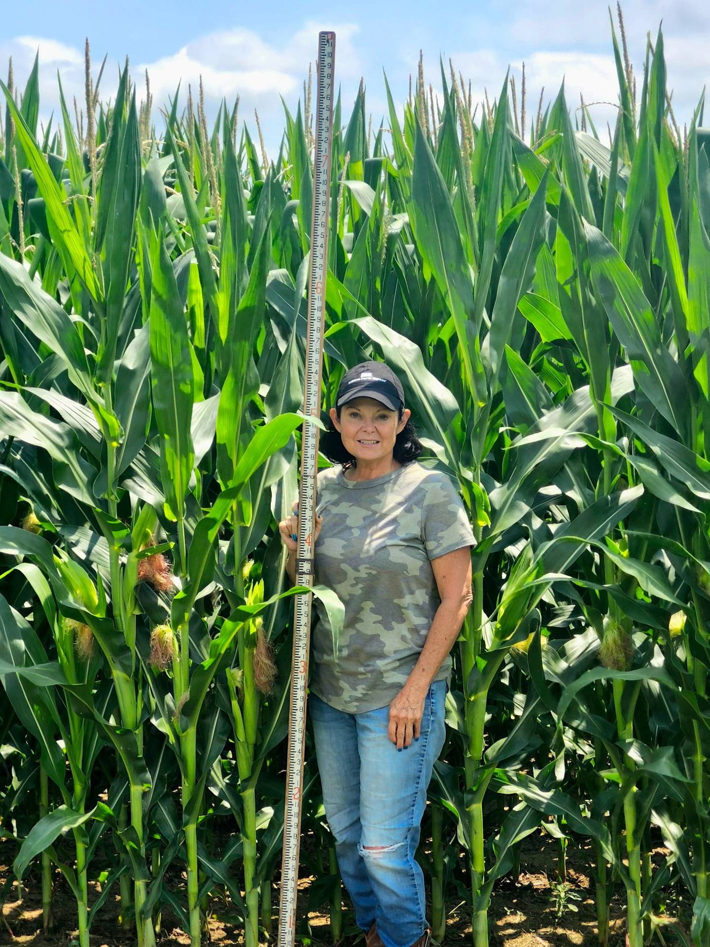 Years ago, knee-high corn in early July was thought to indicate high yields for the year. However, fast forward to the present day: Knee-high stalks in late June and early July signal trouble to farmers. With significant advances in agricultural technology that leverage seed genetics, today’s farmers can expect corn under good conditions to reach a height of 8 feet by midsummer.