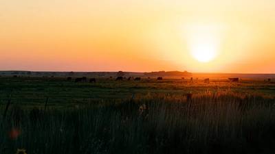 2025 in review: How agriculture persevered through challenges this year