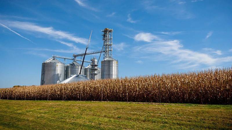 The farm bill ensures a safe and abundant food supply, helps feed the hungry, invigorates rural communities and helps farmers take care of the environment as they continue to provide food, feed, fuel and fiber to the United States and the world.