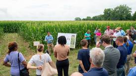 Rural-urban collaboration yields alternative solutions to improve state water quality