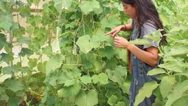 Apprenticeship sparks career for first-generation farmer