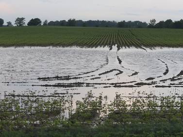 New Ag Climate Dashboard makes climate resources more accessible for Midwest farmers